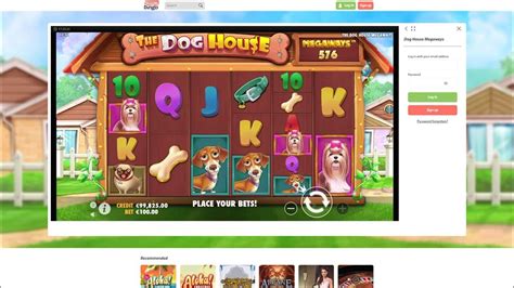 MamaMia Bingo Casino online review .